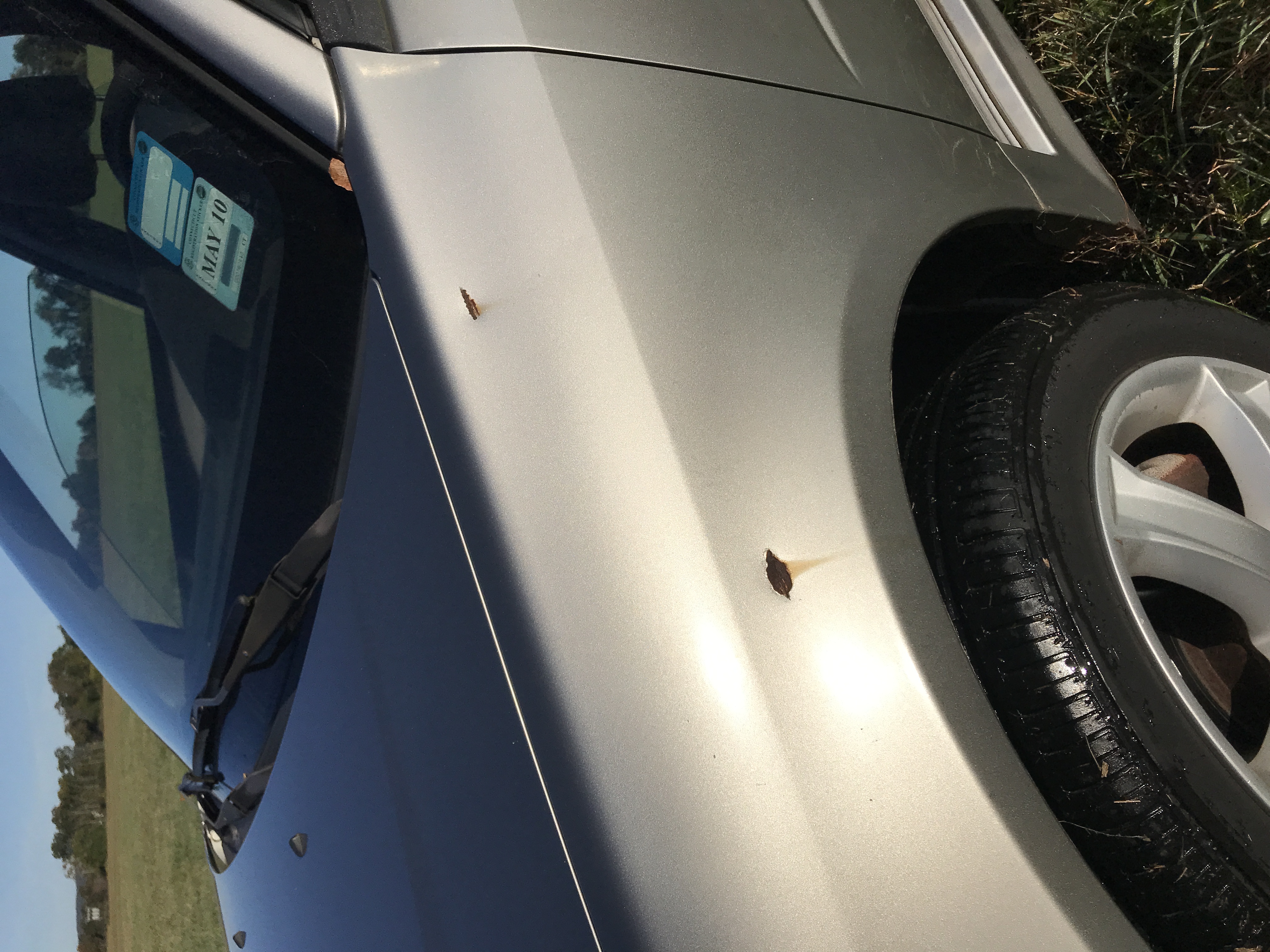 2005 Saab 9-2X — photo 28